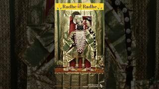 श्री नाथ जी दर्शन।। श्री गिरीराज धरण श्री गोवर्धन नाथ जी दर्शन।।#radhakrishna adhe