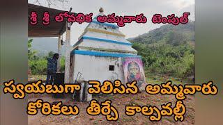 శ్రీ శ్రీ లోవభిక అమ్మవారు టెంపుల్ /అనకాపల్లి జిల్లా /రాంబిల్లి మండలం /గోకివాడ గ్రామం /