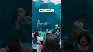 Real Jalpari | असली जलपरी🧜‍♀️ | Jalpari video raigarh