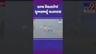 ગ્રામ્ય વિસ્તારોમાં ધુમ્મસભર્યું વાતાવરણ |