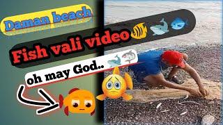 Daman devkha beach🏖 🐳🦈🦭 // fish vali video🌞🎥 //