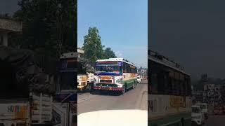 palmpur Shimla rohru palampur HRTC rohru dipo queen 👑 TATA acgl bs4 bus |