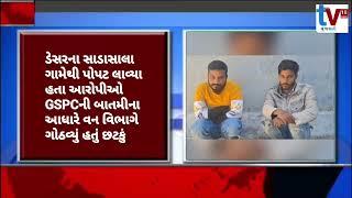 TV 18 media વડોદરા વન વિભાગની મોટી કાર્યવાહી