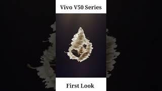 VIVO NEW LUNCH V50