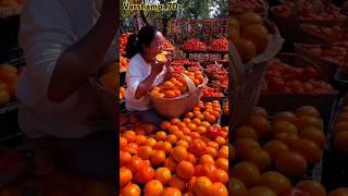 Fresh fruits garden 🍊🍓🍎😋🥭#shorts #fruits #nature नयागांव चैनल सब्सक्राइब प्लीज 🙏🙏