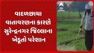 Surendranagar news | વાદળછાયા વાતાવરણના કારણે સુરેન્દ્રનગર જિલ્લાના ખેડૂતો પરેશાન