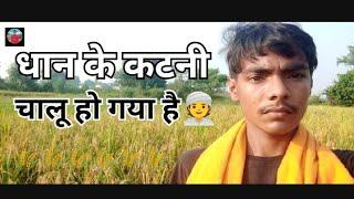 धान के कटनी चालू हो गया है 🌾🌾🌾👳👳👳 Rahul Kumar