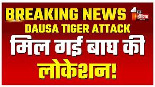 Dausa Tiger Attack: बाघ एसटी 2402 से जुड़ी अपडेट, मिल गई बाघ की लोकेशन! | Rajasthan News