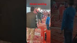 Maholi sitapur wedding dance