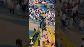 Raj Kumar सांसद बांसवाड़ा में आरक्षण के लिए#_trending #_bheel pardesh