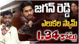 హవ్వా! ఇదేమి స్కాం రా నాయన | YS Jagan New Scam Exposed in Tadepalli House | Analyst Sudhakar