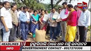 ଡୁଙ୍ଗୁରିପାଲି ଠାରେ ଧାନ ମଣ୍ଡି ଉଦଘାଟିତ || Inauguration of Paddy storage ||