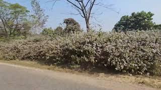 Jharkhand Road View Gomia, Bokaro