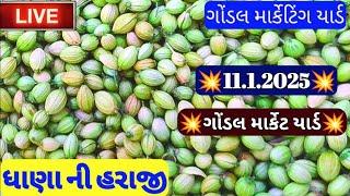 ગોંડલ ધાણા ના બજાર ભાવ / નવા ધાણા ના ભાવ /ગોંડલ માર્કેટિંગ યાર્ડ ધાણાના બજાર ભાવ /11.1.2025