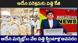 ఆదోని పరిశ్రమకు పత్తి కోత /ఆదోని మర్కెట్లో60 వేల పత్తి క్వింటాళ్ల అవసరం