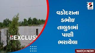 Monsoon Update | વડોદરાના ડભોઇ તાલુકામાં પાણી ભરાયેલા | Vadodara | Rain Update | Gujarat