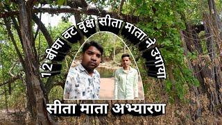 सीता माता अभ्यारण चित्तौड़गढ़ || 12 बीघा वट वृक्ष सीता मैया ने उगाया || SitaMata mandir Chittorgarh