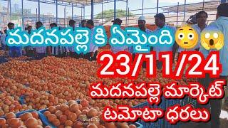 23-11-24 Madanapalle Tomato Market price Today || Today Tomato Market Rate in Madanapalle