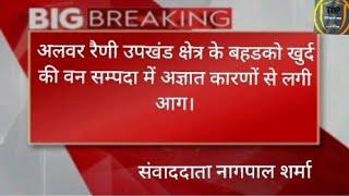 अलवर रैणी उपखंड क्षेत्र के बहडको खुर्द की वन सम्पदा में अज्ञात कारणों से लगी आग।