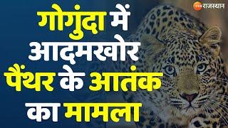 Udaipur News : गोगुंदा में आदमखोर पैंथर के आतंक का मामला | Top Rajasthan News | Today News