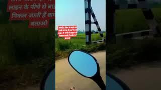 #viralvideo #viralreels #अमरोहा #भारतीय रेलवे