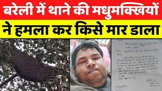 Bareilly News: बरेली के थाने में मधुक्खियां, किसान की मौत | Honey Bee Attack | Farmer | UP