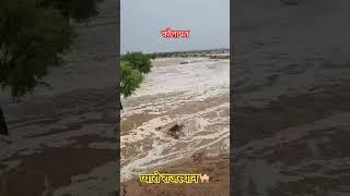कोलायत राजस्थान फुल बारिश 🌧🐪 | #rajasthan #bikaner #heavyrain #barish #mansoon #kolayat #