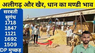 अलीगढ, खैर और इगलास 🌾🌾 धान का मण्डी भाव || dhaan ka bhav || dhaan ka mandi rate//1509 dhan ka bhav