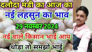 दलौदा मंडी नई लहसुन का भाव 29 नवम्बर 2024 |new ooty garlic rate today daloda Mandi