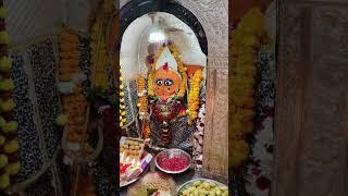 जय मां हरसिद्धि देवी मंदिर रानगिर सागर मध्य प्रदेश 🌺 प्रातः मंगल आरती दर्शन 🌺 04/01/2025🌺🌺