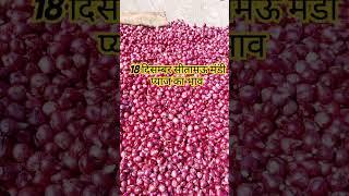 18 दिसंबर 2024 बुधवार सीतामऊ मंडी प्याज का भाव देखे/pyaj ka bhav/onion price/