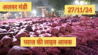 अलवर मंडी प्याज की लाइव आवक #alwarmandipyajbhav 27/11/24