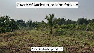 7 Acre || Agricultural land for sale || Tadigudem | Krishna Dist., | Andhra Pradesh || 9912799119