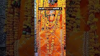 Jay hanuman ji 🙏🚩🚩 bajrangbali #viral_video #shorts #trending #rewa amritamishra2580