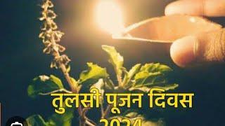 ☘️25 दिसंबर2024☘️ तुलसी पूजन दिवस ☘️ ब्यावरा