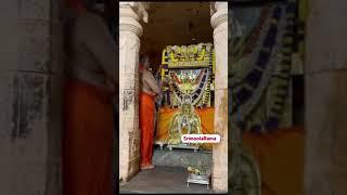 Temple: Sri Ragavendra Swami Mutt, Mantralayam, Kurnool district, Andhra Pradesh, India.