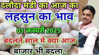 दलोदा मंडी आज का लहसुन का भाव 01 जनवरी 2025 |garlic rate today daloda Mandi |aaj ka lahsun bhav