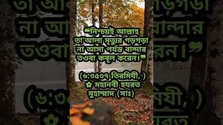 আল্লাহ দয়ালু।। allah doyalu