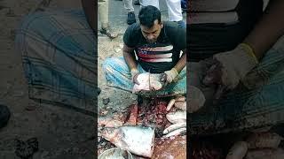 WOW!! Fish Cutting Skills