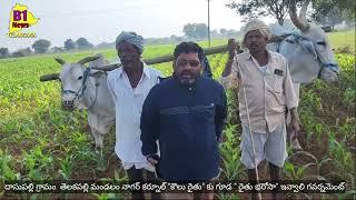 దాసుపల్లి గ్రామం  తెలకపల్లి మండలం నాగర్ కర్నూల్ "కౌలు రైతు" కు గూడ " రైతు భరోసా" ఇవ్వాలి గవర్నమెంట్