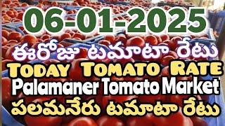 పలమనేరు 🍅🍅🍅టమాటో మార్కెట్ ధరలు 06-01-2025 ||ఈ రోజు టమోటా ధర Palamaner Market||ckgowthamvlogs