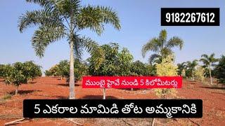 🌿 మామిడి తోట అంమడును#జహీరాబాద్#mango garden for sale#zaheerabad#NH 65 to 5km distance title chilar