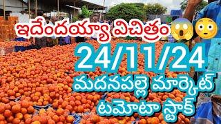 24-11-24 Madanapalle Tomato Market price Today || Today Tomato Market Rate in Madanapalle