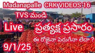 Crk videos16  is live!  Madanapalle Tomato market prices today 🍅 మదనపల్లె టమోటా రేట్లు