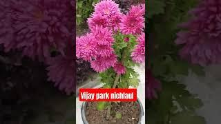 Vijaypark