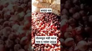 गोतमपुरा मंडी प्याज भाव 5 नम्बर 2024