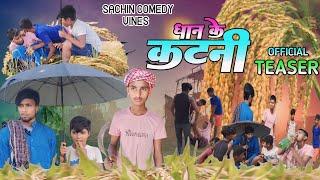 DHAN KATTANI  | धान कटनी  |  SACHIN COMEDY VINES Sachincomedyvines-c7l ManiMerajVines