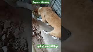 #Support the dog.#कुत्ते को सपोर्ट कीजिए।#beautiful #love #डग #bhaktisong #कत 27/12/2024/02:14pm