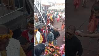 बाबा मंदिर देवघर में मकर संक्रांति पर भक्ति का सेलाव हार हार महादेव l