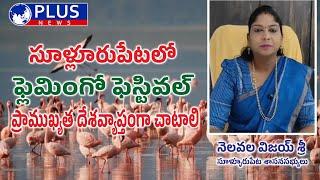 సూళ్లూరుపేట లో ఫ్లెమింగో ఫెస్టివల్ ప్రాముఖ్యత దేశవ్యాప్తంగా చాటాలి|సూళ్లూరుపేట|ప్లస్ న్యూస్|తిరుపతి